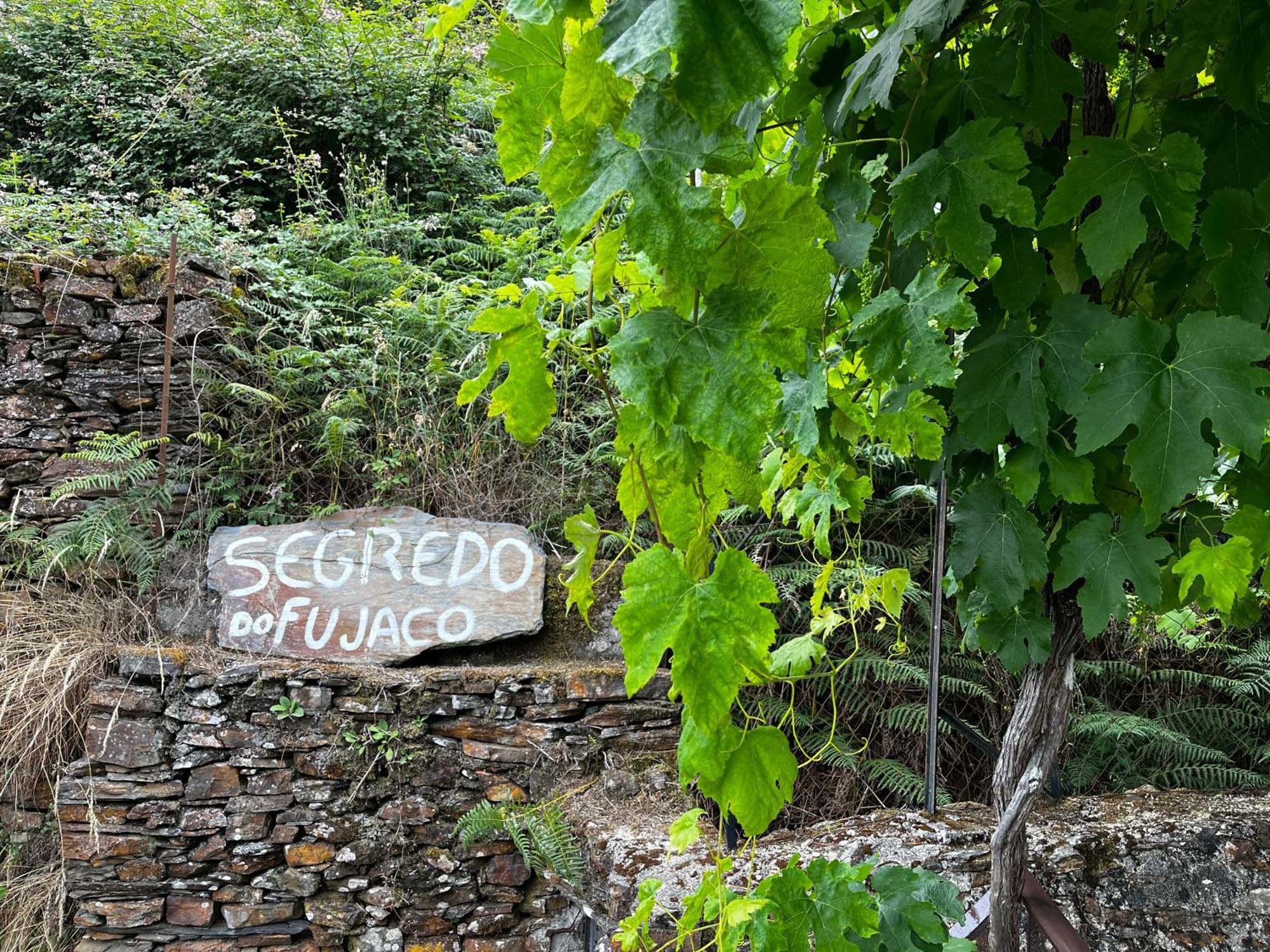 O Segredo Do Fujaco Villa São Pedro do Sul Exteriör bild